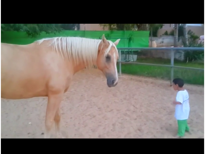 Are doar 4 ani si s-a apropiat de acest cal ! Reactia animalului este emotionanta ! VIDEO